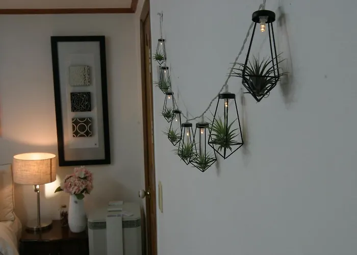 Refee House Seul