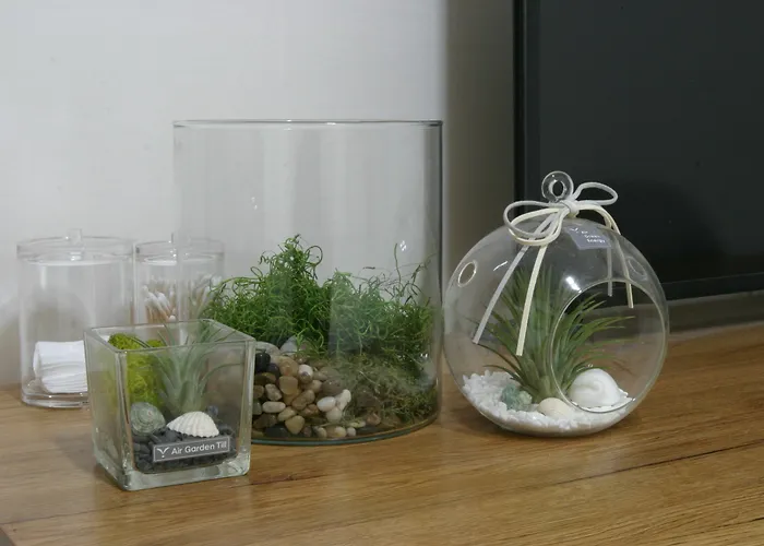 Refee House 3* Seul