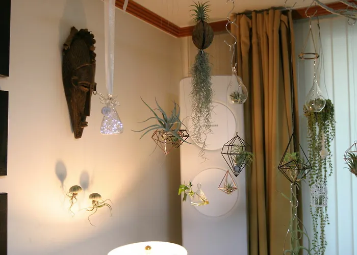 Refee House Affittacamere 3*